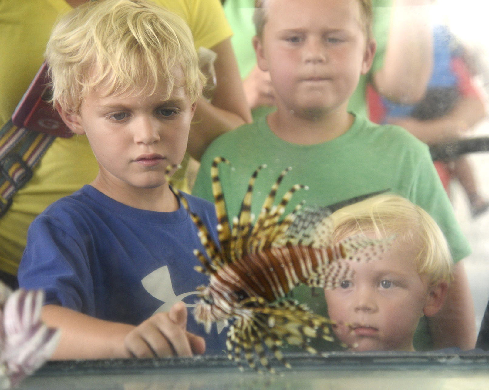 CoastFest-Young festival-goers check out a lionfish, an invasive species..jpg